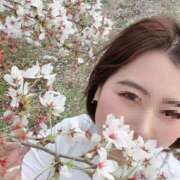 ヒメ日記 2026/04/04 13:46 投稿 りさ 千葉柏ちゃんこ