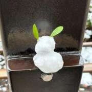 ヒメ日記 2026/03/04 19:11 投稿 眠井ねむ やみつきエステ千葉栄町店