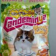 ヒメ日記 2026/02/23 17:50 投稿 しろな ドリーム水戸