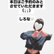 ヒメ日記 2026/04/21 09:50 投稿 しろな ドリーム水戸