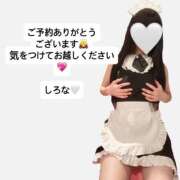 ヒメ日記 2026/05/25 12:10 投稿 しろな ドリーム水戸