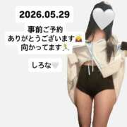 ヒメ日記 2026/05/29 13:30 投稿 しろな ドリーム水戸