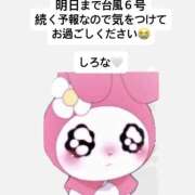 ヒメ日記 2026/06/03 19:00 投稿 しろな ドリーム水戸