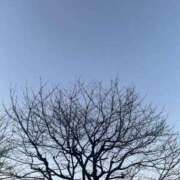 ヒメ日記 2026/01/20 11:28 投稿 もな わちゃわちゃ密着リアルフルーちゅ西船橋