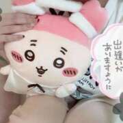 ヒメ日記 2026/02/04 09:17 投稿 桃瀬いちか ゴシップガール～淑女不倫～