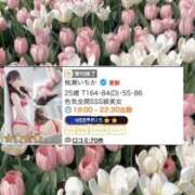 ヒメ日記 2026/08/26 17:17 投稿 桃瀬いちか ゴシップガール～淑女不倫～