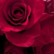 れいこ お礼⭐️ 浜松人妻援護会