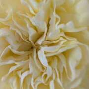 ヒメ日記 2026/02/04 20:46 投稿 れいこ 浜松人妻援護会