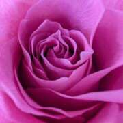 ヒメ日記 2026/02/09 17:07 投稿 れいこ 浜松人妻援護会