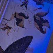 ヒメ日記 2026/02/11 23:17 投稿 れいこ 浜松人妻援護会