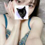 ヒメ日記 2026/01/17 00:01 投稿 アリカ きらめけ！にゃんにゃん学園in大宮