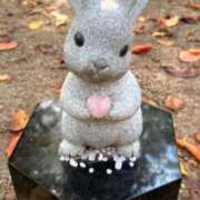 ヒメ日記 2026/01/25 08:22 投稿 倉科 麻琴 30代40代50代と遊ぶなら博多人妻専科24時