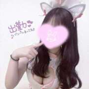 ヒメ日記 2026/02/09 11:51 投稿 ゆか コンカフェ＆オナクラ ちいかの！渋谷店