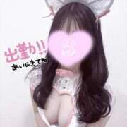 ヒメ日記 2026/02/20 13:30 投稿 ゆか コンカフェ＆オナクラ ちいかの！渋谷店