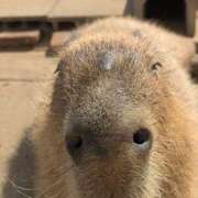 ヒメ日記 2026/02/24 20:25 投稿 ひとみ 熟女の風俗最終章 宇都宮店