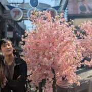 ヒメ日記 2026/03/30 05:11 投稿 ひとみ 熟女の風俗最終章 宇都宮店