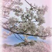 ヒメ日記 2026/04/07 17:50 投稿 梨々【リリ】 ピンクコレクション大阪キタ店