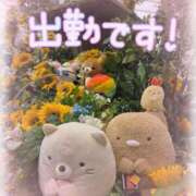 ヒメ日記 2026/08/23 11:50 投稿 梨々【リリ】 ピンクコレクション大阪キタ店