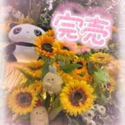 ヒメ日記 2026/08/24 10:49 投稿 梨々【リリ】 ピンクコレクション大阪キタ店