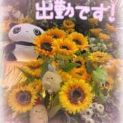 ヒメ日記 2026/09/17 10:29 投稿 梨々【リリ】 ピンクコレクション大阪キタ店