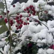 ヒメ日記 2026/02/11 16:28 投稿 まどか いざ候 本館