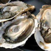 橋本まなみ 私の小さな挑戦 癒しのマダム