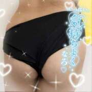 ヒメ日記 2026/03/05 12:06 投稿 ほたる IRIS(岐阜)