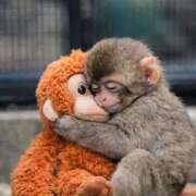 そらち 最近の推し？ ドM女学園大阪