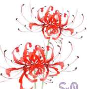 ヒメ日記 2026/01/28 14:12 投稿 すお チェリーデイズ