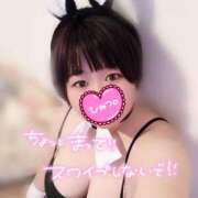 ヒメ日記 2026/01/28 08:01 投稿 ミツ ドMな奥様 大阪本店