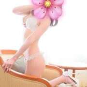 ヒメ日記 2026/02/19 15:51 投稿 白咲雅 白夜