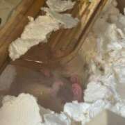 ヒメ日記 2026/01/29 20:19 投稿 黒瀬えみか MIRAI TOKYO 六本木店