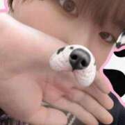 ヒメ日記 2026/02/07 01:16 投稿 みかさ 久留米デリヘルセンター