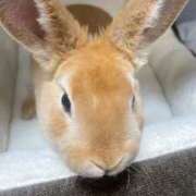 ヒメ日記 2026/02/13 17:46 投稿 みかさ 久留米デリヘルセンター