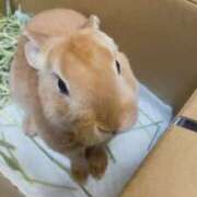 ヒメ日記 2026/02/14 20:36 投稿 みかさ 久留米デリヘルセンター