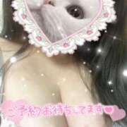 ヒメ日記 2026/01/28 15:42 投稿 せいら★1 奴隷コレクション梅田店