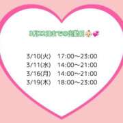 りこ 今後の出勤予定💘 吉原ファーストレディ