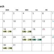 ヒメ日記 2026/03/12 20:18 投稿 りこ 吉原ファーストレディ