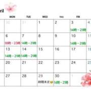 ヒメ日記 2026/03/31 20:18 投稿 りこ 吉原ファーストレディ