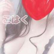 ヒメ日記 2026/01/21 11:19 投稿 こはく ピーチハニー