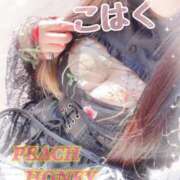 ヒメ日記 2026/01/22 14:01 投稿 こはく ピーチハニー