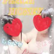 ヒメ日記 2026/01/23 11:45 投稿 こはく ピーチハニー