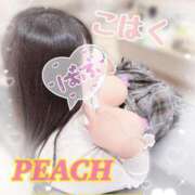 ヒメ日記 2026/01/23 19:01 投稿 こはく ピーチハニー