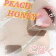 ヒメ日記 2026/01/24 09:30 投稿 こはく ピーチハニー