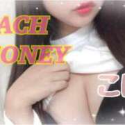 ヒメ日記 2026/01/24 17:02 投稿 こはく ピーチハニー