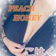 ヒメ日記 2026/01/24 19:01 投稿 こはく ピーチハニー