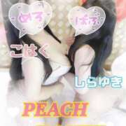 ヒメ日記 2026/01/24 21:02 投稿 こはく ピーチハニー