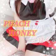 ヒメ日記 2026/01/28 18:01 投稿 こはく ピーチハニー