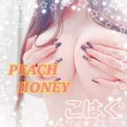 ヒメ日記 2026/01/30 10:02 投稿 こはく ピーチハニー