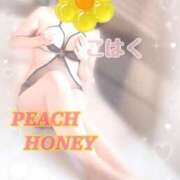 ヒメ日記 2026/01/31 11:31 投稿 こはく ピーチハニー